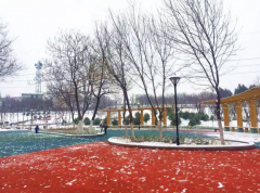 家门口的公园雪景千万不要错过！