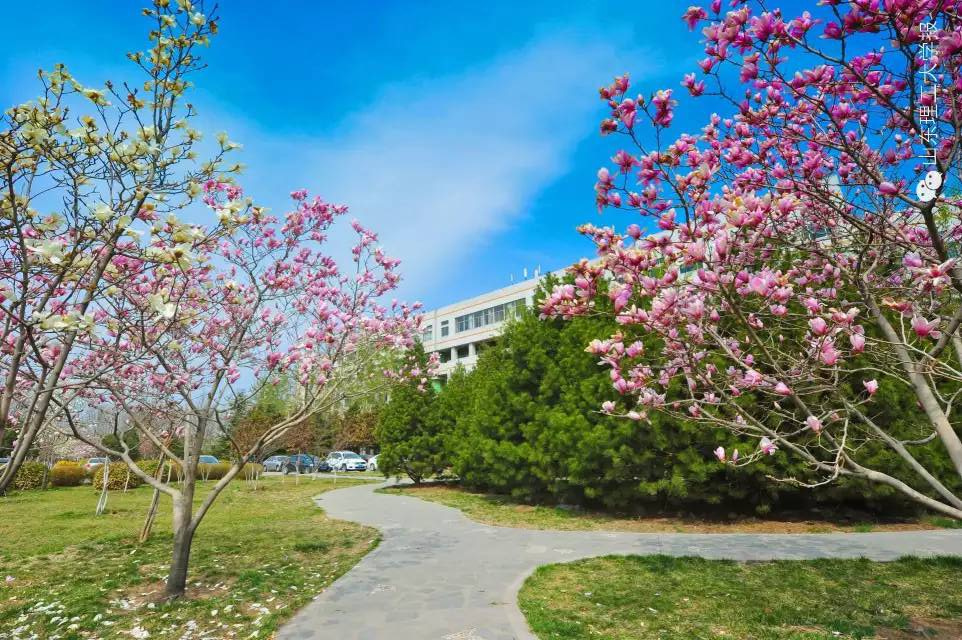 房地产营销代理,房地产营销顾问,房地产营销策划,房地产营销公司,淄博房地产营销代理,潍坊房地产营销顾问,济南房地产营销策划,山东房地产营销公司,烟台房地产营销公司,青岛房地产营销公司
