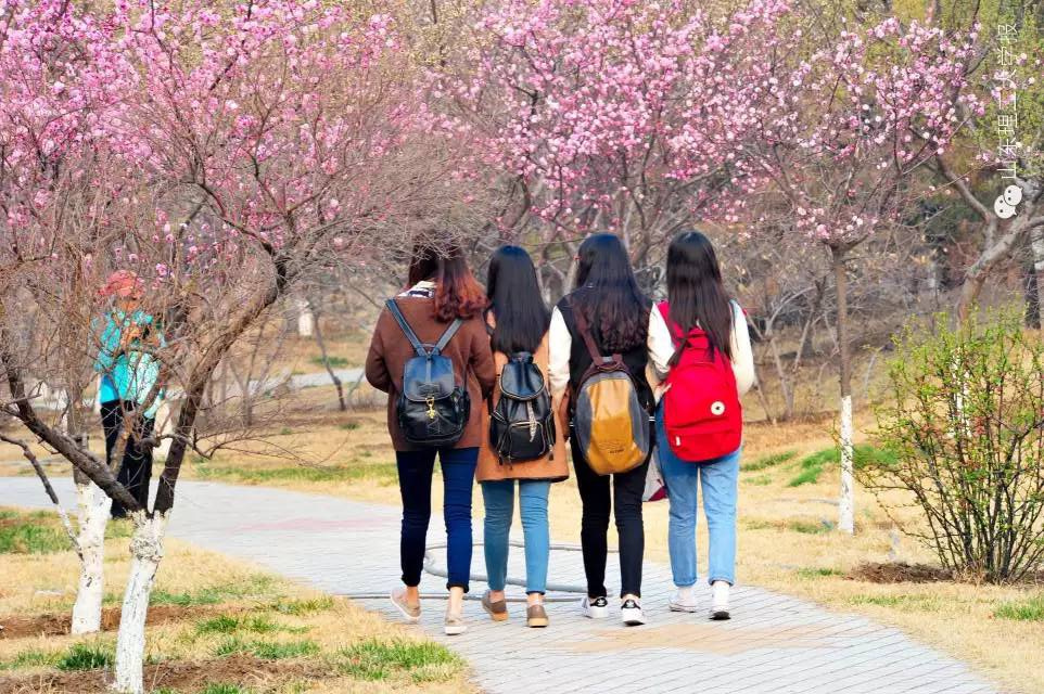 房地产营销代理,房地产营销顾问,房地产营销策划,房地产营销公司,淄博房地产营销代理,潍坊房地产营销顾问,济南房地产营销策划,山东房地产营销公司,烟台房地产营销公司,青岛房地产营销公司