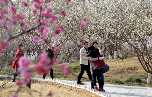 房地产营销代理,房地产营销顾问,房地产营销策划,房地产营销公司,淄博房地产营销代理,潍坊房地产营销顾问,济南房地产营销策划,山东房地产营销公司,烟台房地产营销公司,青岛房地产营销公司