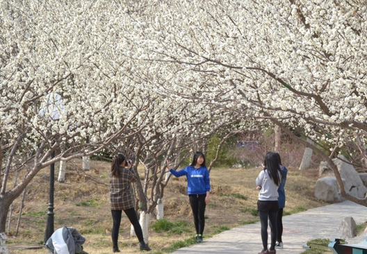 房地产营销代理,房地产营销顾问,房地产营销策划,房地产营销公司,淄博房地产营销代理,潍坊房地产营销顾问,济南房地产营销策划,山东房地产营销公司,烟台房地产营销公司,青岛房地产营销公司